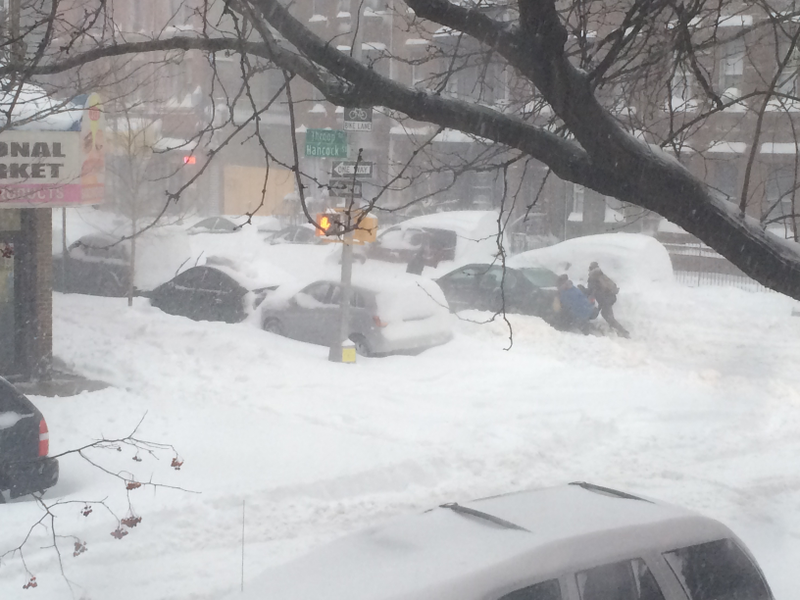 Illustration for article titled A Blizzard Grows in Brooklyn
